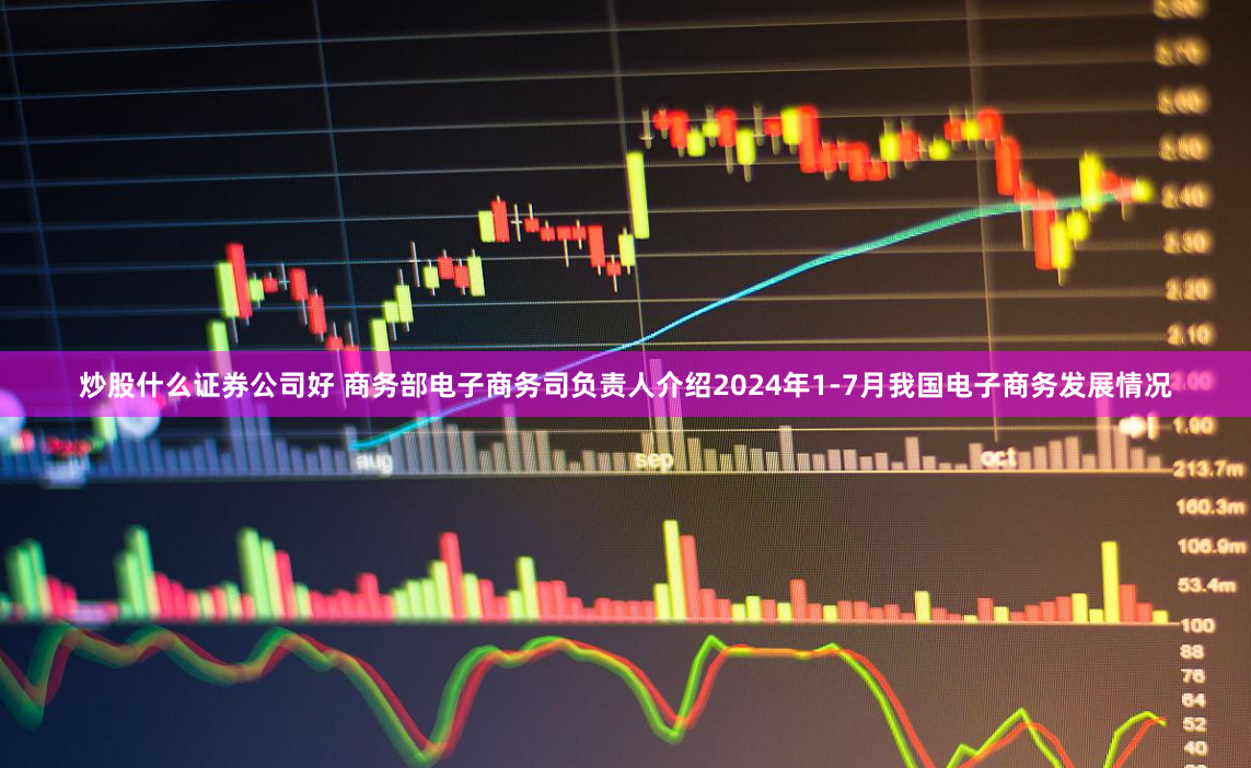 炒股什么证券公司好 商务部电子商务司负责人介绍2024年1-7月我国电子商务发展情况